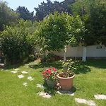 Family Paradise