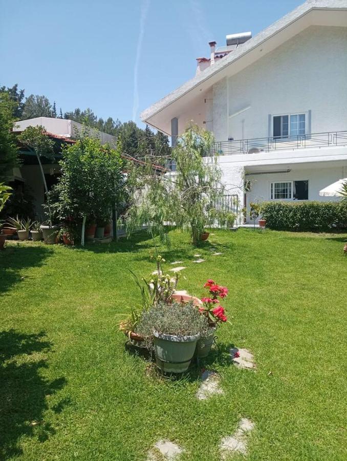 Family Paradise Koskinou (Rhodes)